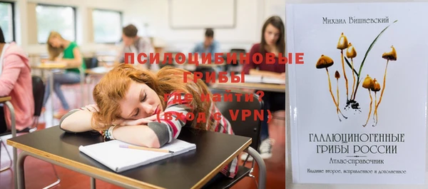 a pvp Армянск
