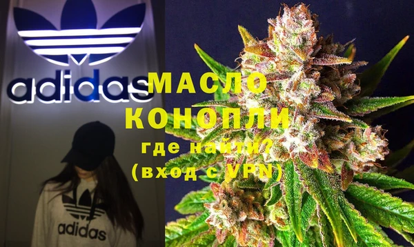 дживик Сясьстрой