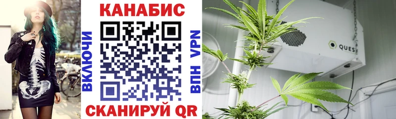 kraken ONION  наркошоп  Россошь  Марихуана конопля 